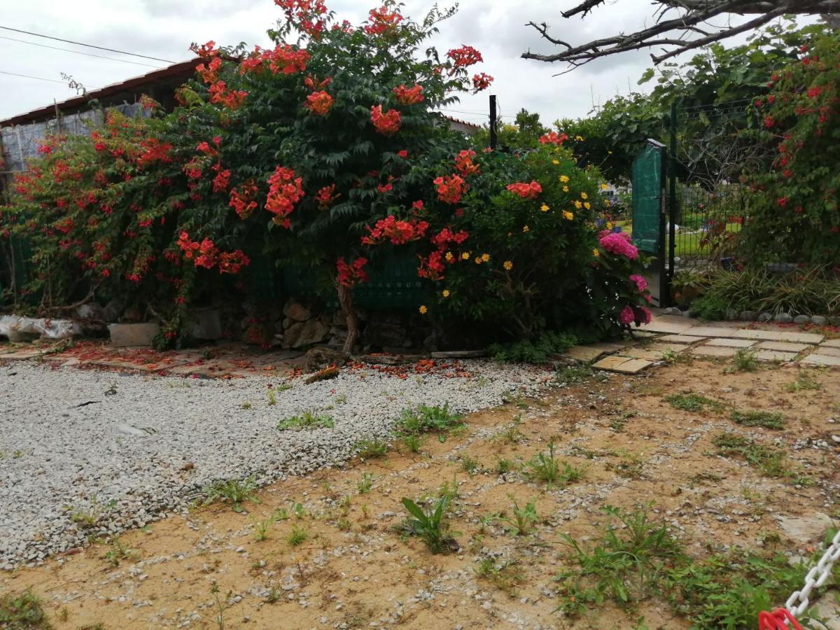 Beranga El Caserio De Esther מראה חיצוני תמונה